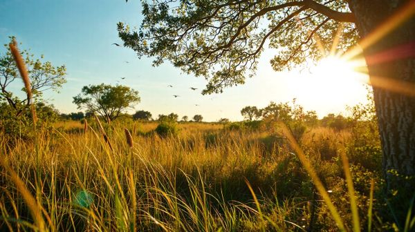 Top 10 des destinations pour l'observation des oiseaux